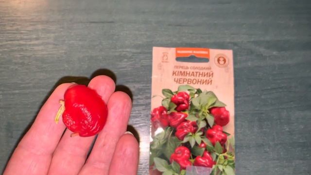 А вы выращивали сладкий комнатный перец? смотреть онлайн