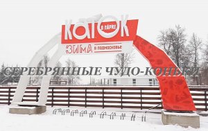 Серебряные чудо-коньки.