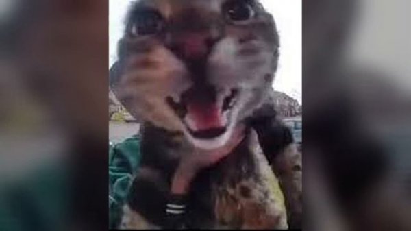 I Got No Time (Sped Up) 1 Hour Loop