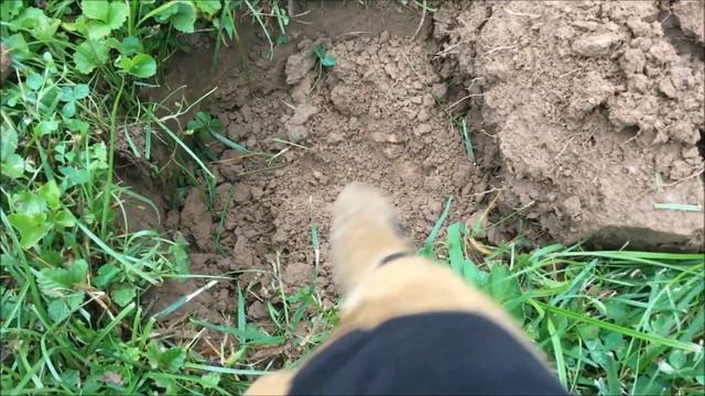 Racing Through Time - Metal Detecting a 200 Year Old Property before Thunderstorms Roll In смотреть онлайн