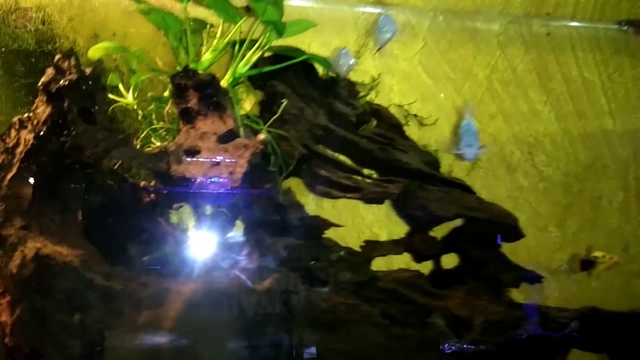 океанариум 1 смотреть онлайн