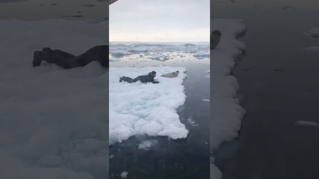 Best hunting seals in tasiilaq Greenland смотреть онлайн