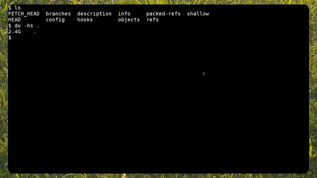 Transform GIT Repository To Mirror In Gitea