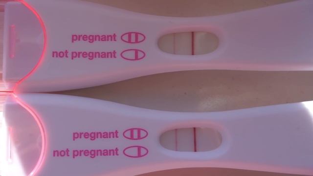 Pregnancy Test Line Progression | February 2017 смотреть онлайн
