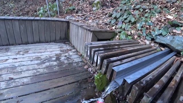 РОЗА ХУТОР | КАК Я ДЕЛАЮ БИЗНЕС НА КРАСНОЙ ПОЛЯНЕ | СОЧИ ГОРЫ