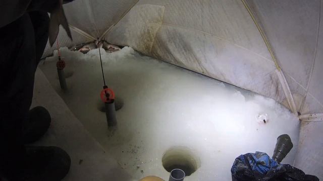 Ночная Зимняя Рыбалка в Палатке. Ловим достойные экземпляры. . Плотва .Густера. смотреть онлайн