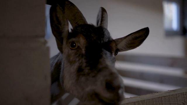 Сяндемский успенский женский монастырь