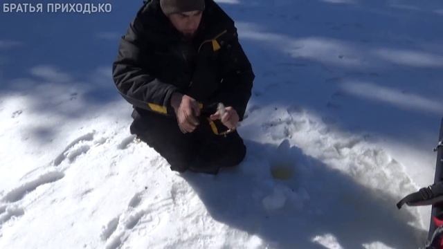 РЫБАЛКА НА ХАРИУС В АПРЕЛЕ / ТАЕЖНЫЕ РЕКИ РЕСПУБЛИКИ КОМИ смотреть онлайн