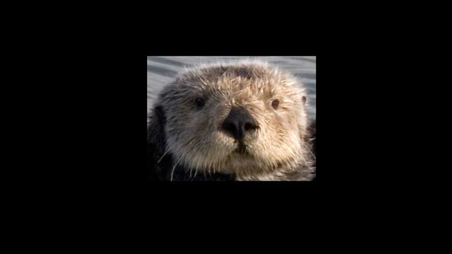 Великий океан. Часть 2. Глава 5 смотреть онлайн