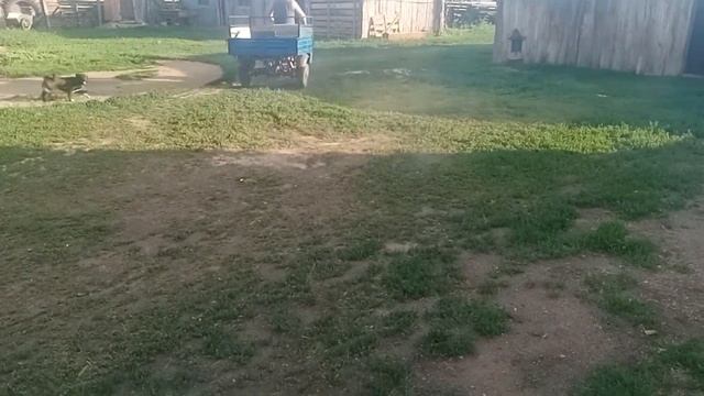 мурашек мурашь смотреть онлайн