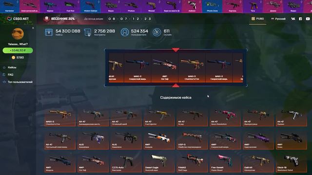 中国胖胖加蓬 (CS:GO)