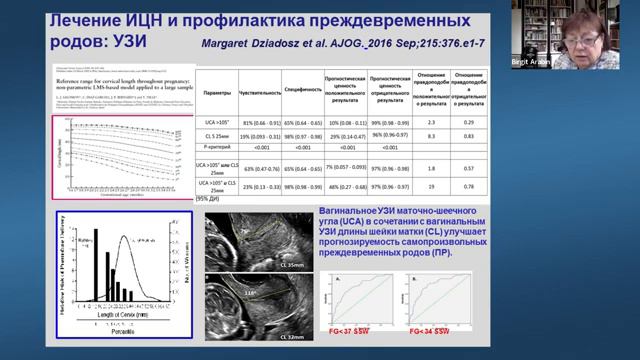 Вебинар ИЦН и послеродовая реабилитация. Биргит Арабин и Соловьева Алина Викторовна смотреть онлайн