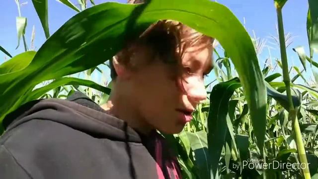 Coub 4:лучшее отснятое за пол года и год(ФИНАЛ ТРИЛОГИИ!!) смотреть онлайн