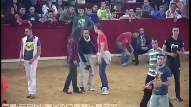 Бык и стадо баранов. смотреть онлайн