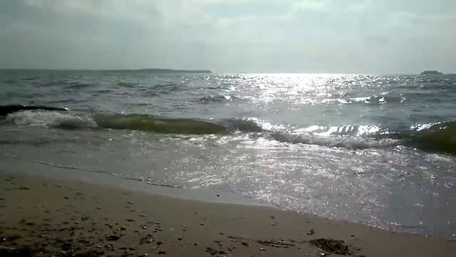 Новосибирск . Центральный пляж Академгородка . Сентябрь 2020 .