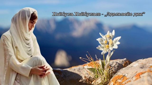 Хайбула Хайбулаев - ,,Эдельвейс дии’’ 2023.