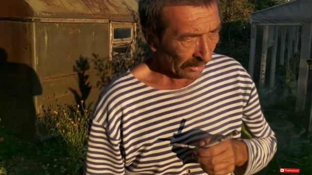 ОБЗОР МОЕЙ ДАЧИ ВОЛК ТВ смотреть онлайн