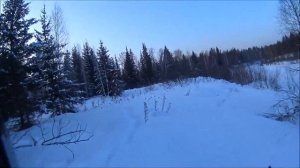 Polaris widetrak lx500