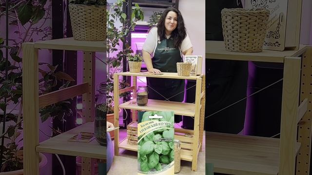 Огородники, на старт! смотреть онлайн