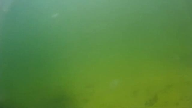 Балтийское море. Баби Доле. Столбы. Часть 7 смотреть онлайн