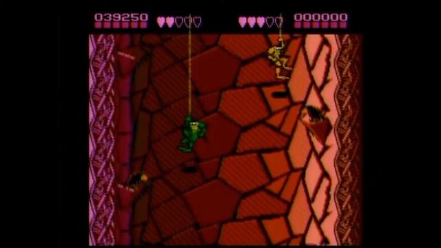 Let's Beat 'Em All Up - Battletoads