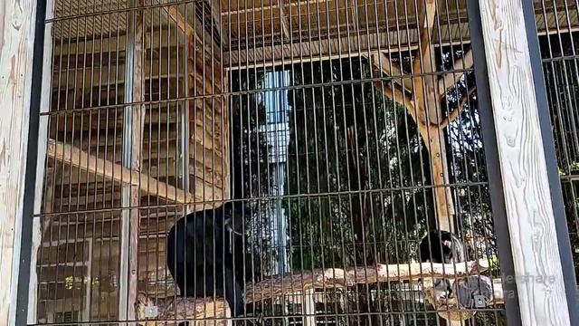 Завтрак, пляж, море в отеле Ялта-Интурист смотреть онлайн