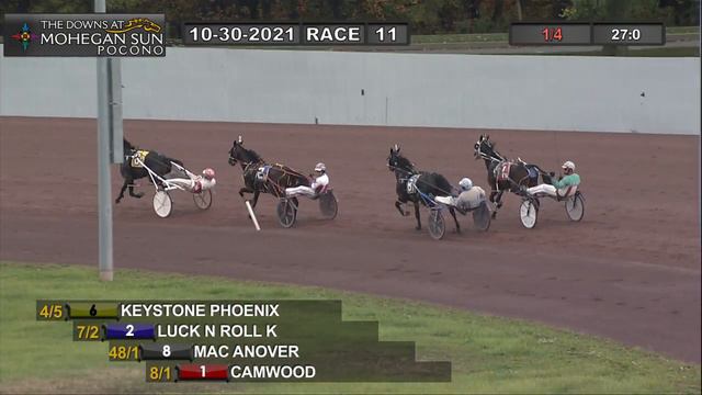 Harness Racing Accident 2021 смотреть онлайн