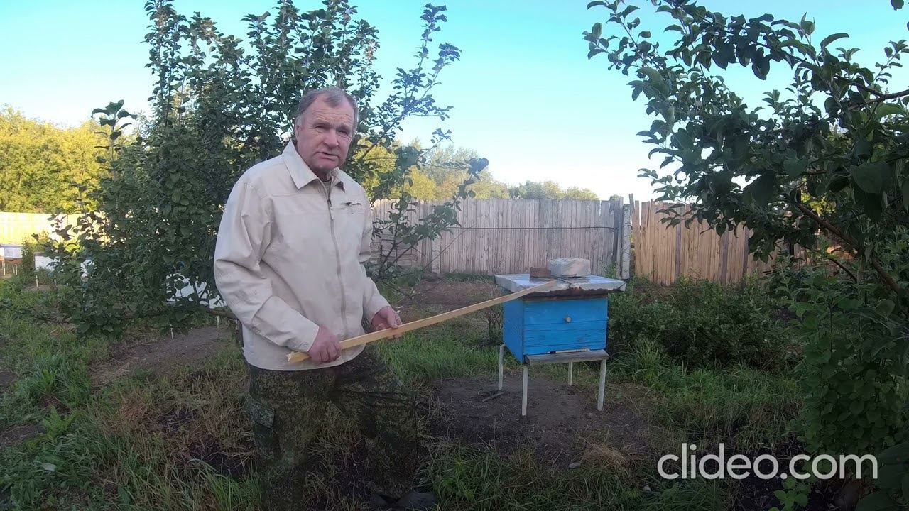 Злая семья на пасеке. смотреть онлайн