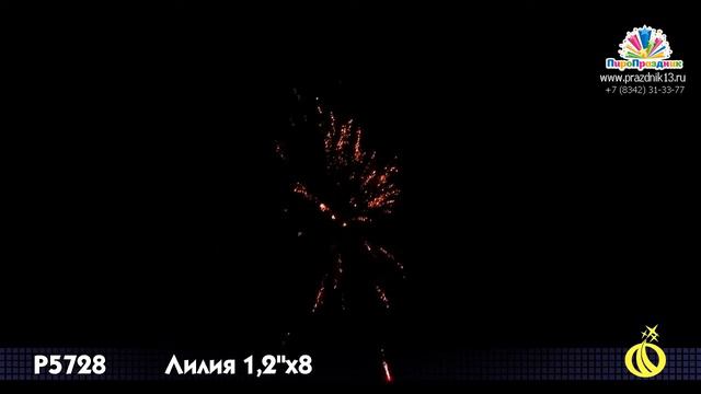 Р5728 ЛИЛИЯ смотреть онлайн