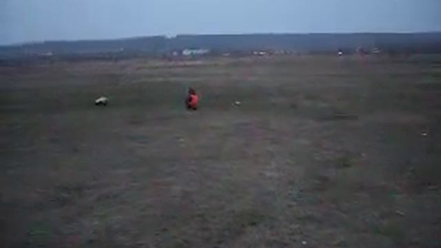 монстр арсеньев.AVI смотреть онлайн