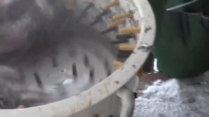 Перосъемная машина  Спрут 700. Отзыв о работе при ощипе гуся.