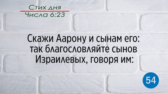 Тефиллин. Числа 6:23. Повторение стихов 100 раз смотреть онлайн