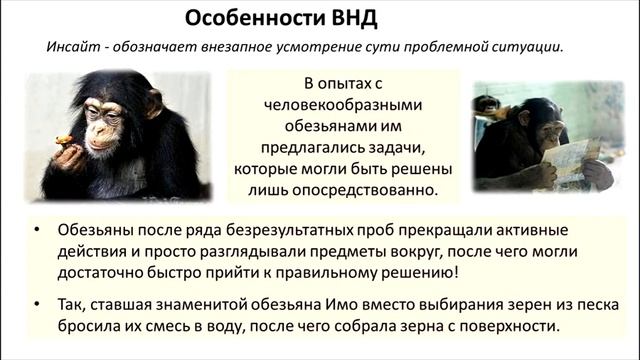 22 ВНД часть 1 смотреть онлайн