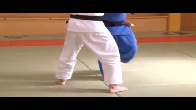 Toshihiko Koga.Uchi komi 80% #judo смотреть онлайн