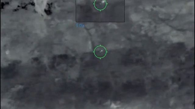 Hog hunt in central Texas with pulsar thermion 2 xq38 смотреть онлайн