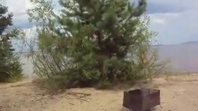 Вспомним лето! Отдых на Ветлуге. Джуди резвится у воды смотреть онлайн