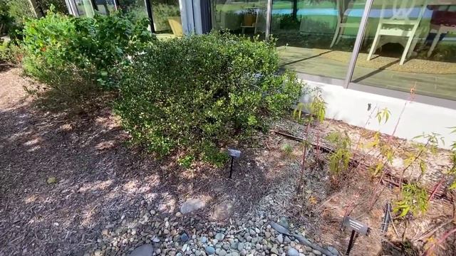 Let's Talk Gardening! Low Maintenance Native Plants for Residential Florida-Friendly Landscapes смотреть онлайн
