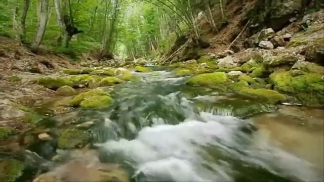 А что будет завтра... музыка, исполнение Евгений Лощилов, ( С. Долгова) смотреть онлайн