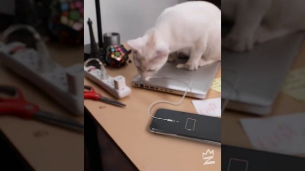 Best of Zach King Magic Compilation 2020 - Part 1