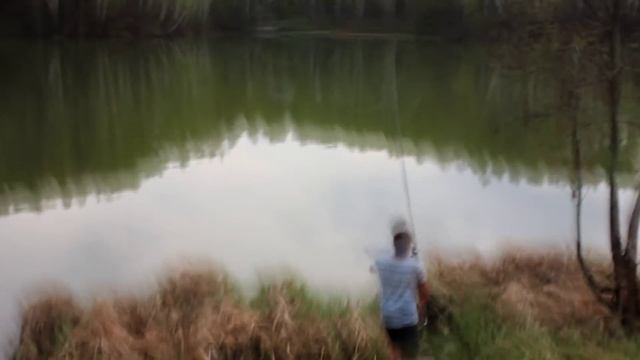 Карп на волосяную оснастку. Carpfishing