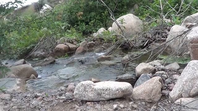 Черные и белые камни признаки золота смотреть онлайн