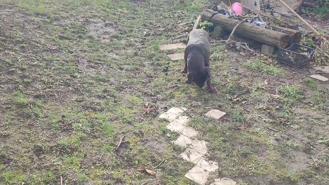 ЩОДЕННИК-2023 (9-15 листопада) смотреть онлайн