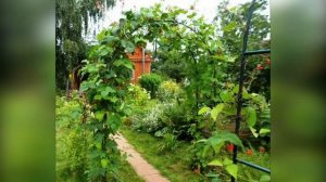 10 лет даче! Сад мечты своими руками