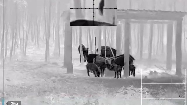 IWT MK2 - 60 смотреть онлайн