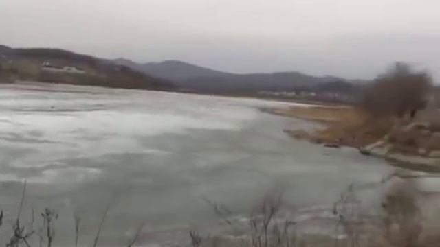 Мёртвая рыба в Находке смотреть онлайн