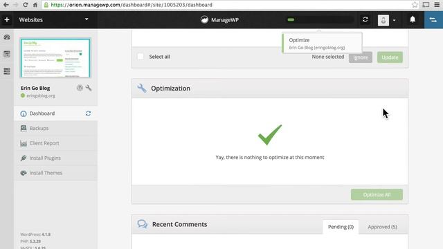 Wordpres Tutorial - Wordpress Training-How to Use ManageWP to Update Multiple WordPress Sites смотреть онлайн