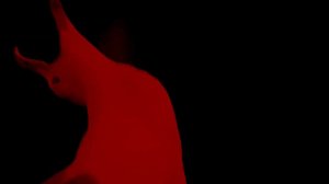 ЧАЙКА ОРЕТ | МЕМ | Jjarik_YT