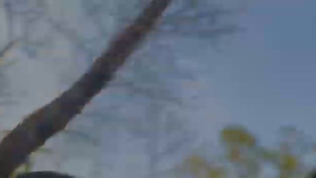 Это 3 незабываемых дня вожатского семинара! Вместе - мы сила!??? смотреть онлайн