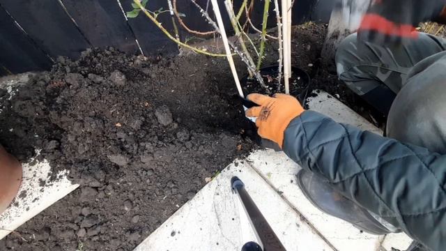 Creating A White Garden 2: Prepping The Site