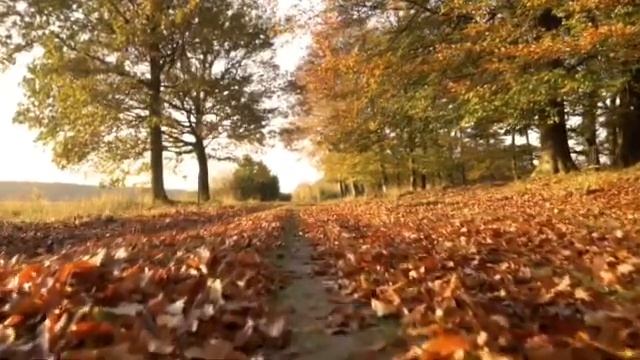 Расслабляющая музыка для йогаа и потрясающая музыка для медитации на природе смотреть онлайн